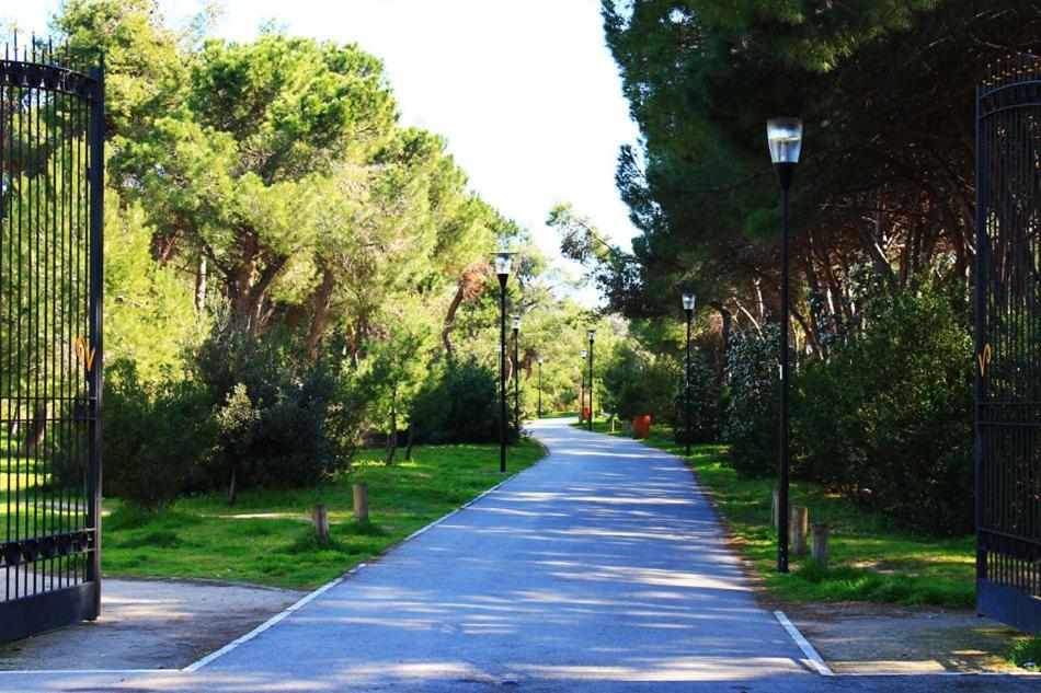 Carducci 83 Bed & Breakfast Pescara Exterior photo